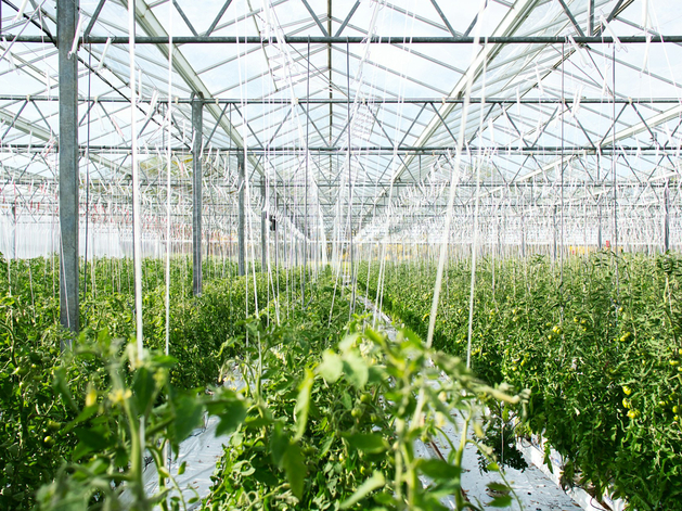 Прибыль или убытки: предварительные оценки торговой войны Трампа