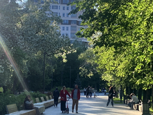 В Тюмени снизили максимальную скорость самокатов до 15 км/ч и запретили езду в парках