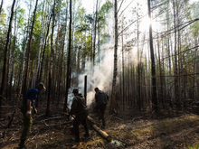 В Свердловской области резко ухудшилась ситуация с лесными пожарами