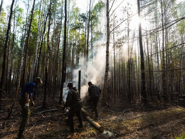В Свердловской области резко ухудшилась ситуация с лесными пожарами