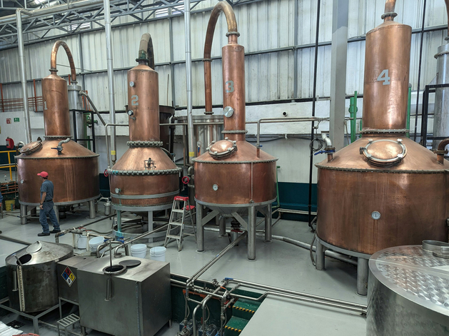 31,6% — доля убыточных российских компаний в I квартале 2025 г.