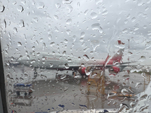 Авиакомпанию «Россия» оштрафовали за отказ перевезти оборудование инвалида