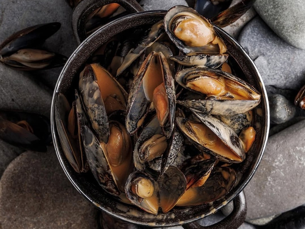 «Мидийное место» открывает новую точку в Екатеринбурге после проверок Роспотребнадзора «Мидийное место» открывает новую точку в Екатеринбурге после проверок Роспотребнадзора