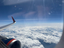 Госдума займётся судьбой ручной клади после скандала с «Победой»