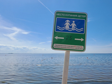 В Ленинградской области опасных бацилл не нашли только на трех озерах