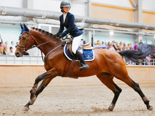 Атмосфера спортивного азарта: в Челябинске пройдут всероссийские соревнования по конкуру
