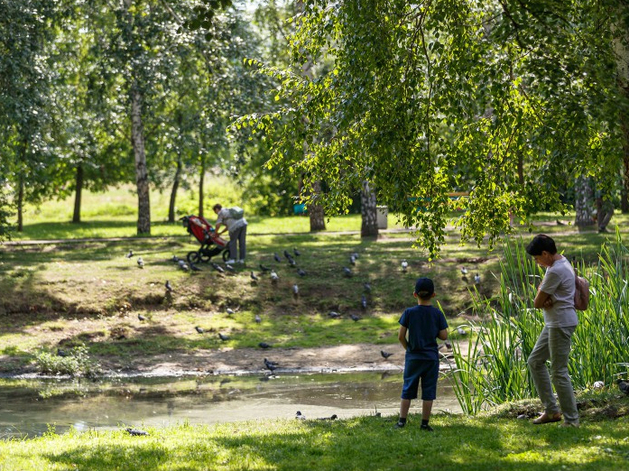 В Екатеринбурге приступили к обустройству парка, за который проголосовали жители в 2024 г.