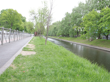 Суд обязал «Домашний Оазис» довести до ума благоустройство на Карповке из-за погибших лип