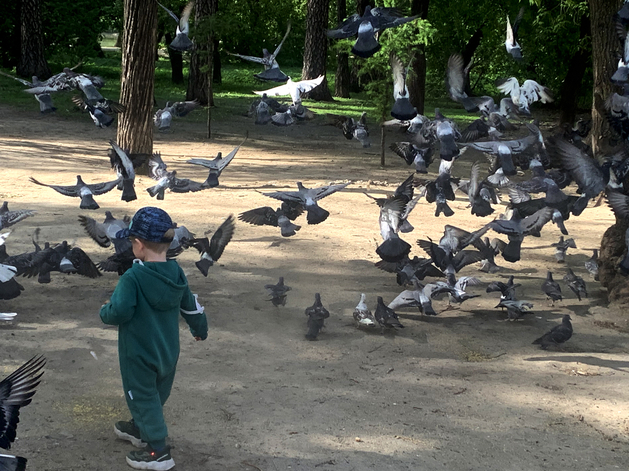 В Госдуму внесен законопроект о повышении маткапитала на 25% за каждого следующего ребенка