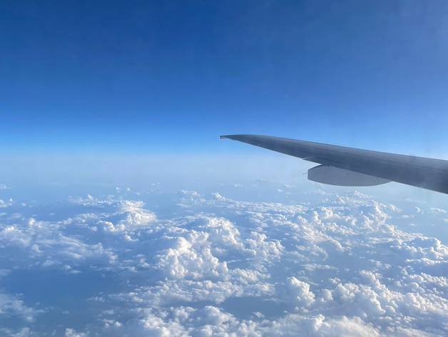 Air Arabia предупредила свердловчан, которые собираются в ОАЭ, что они могут не вернуться