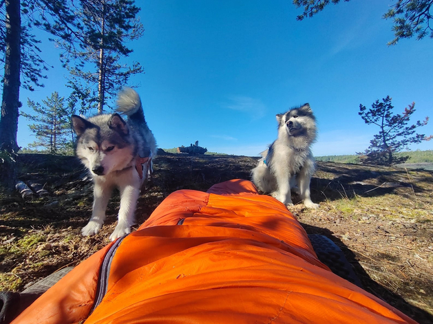 Где в Екатеринбурге зашить дирижабль. Евгений Корбут — об истории легендарного «Века» Где в Екатеринбурге зашить дирижабль. Евгений Корбут — об истории легендарного «Века»