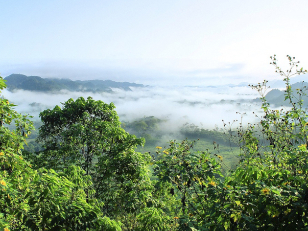«Нас ждет шестое массовое вымирание». Уже к 2050 г. жить на Земле станет куда сложнее «Нас ждет шестое массовое вымирание». Уже к 2050 г. жить на Земле станет куда сложнее