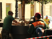 Сажать негде: Комитет Ленобласти проиграл спор о лесовосстановлении портовикам