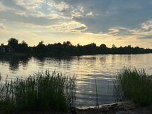 После жалоб на замор рыбы «Идаванг Агро» попала в поле зрения Росприроднадзора