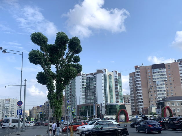 Минпромторг прогнозирует падение авторынка на 40% в 2025 г. и борется с ситуацией