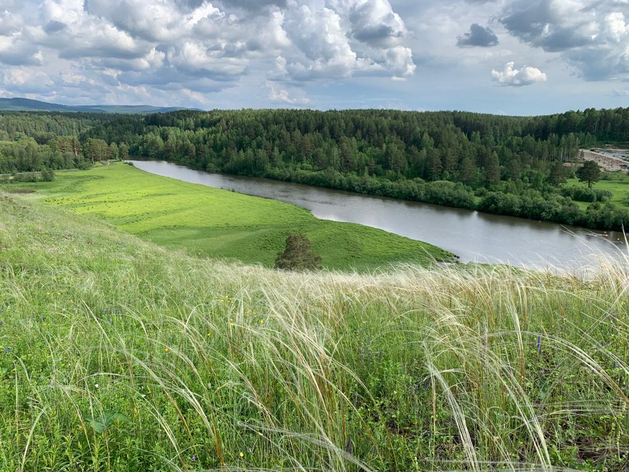 В Свердловской области разрешат жарить шашлыки — власти готовятся снять ограничения