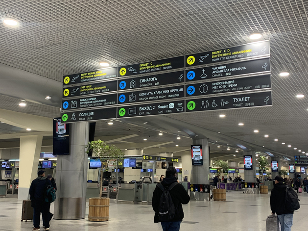 Дмитрий Каменщик пытается остановить национализацию Домодедово