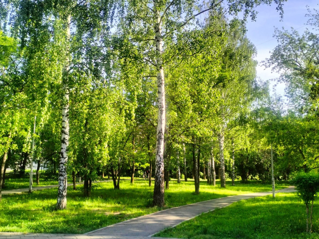 В Екатеринбурге благоустроят Метеогорку и Основинский парк