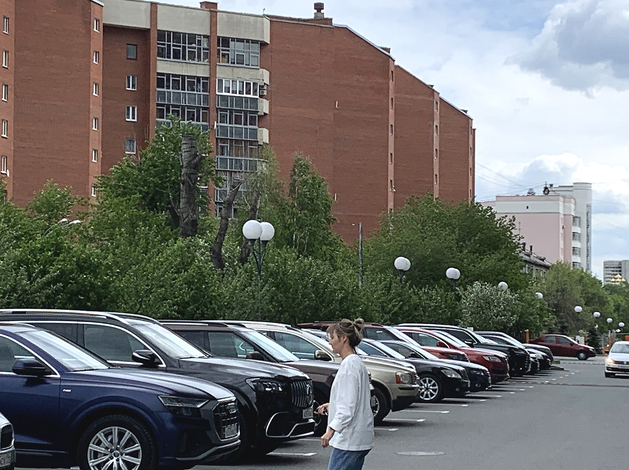 Утильсбор могут распространить на ввозимые физлицами авто мощностью 160 л.с. и выше