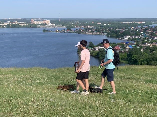 Правительство РФ поддержало ужесточение ответственности для владельцев домашних животных Правительство РФ поддержало ужесточение ответственности для владельцев домашних животных