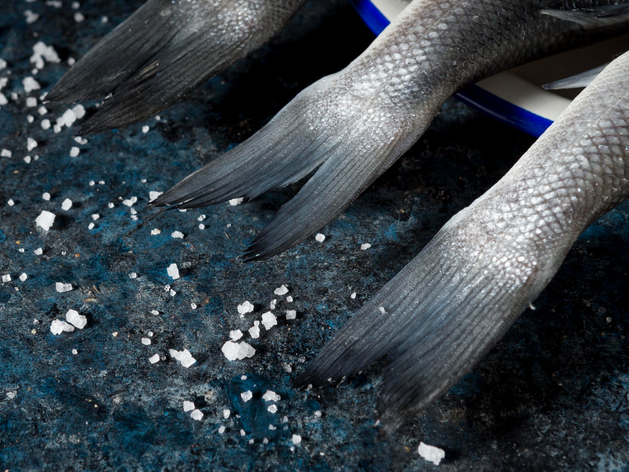 На Урале запустят производство первого отечественного биопротеина для прикормки рыб