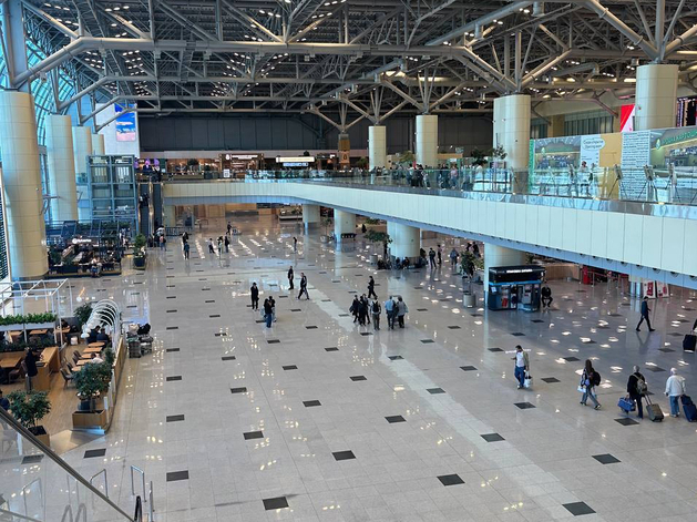 Домодедово подало иск к кипрской Captum Limited на 500,6 млн руб.