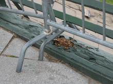 Петербург получит 15 млрд рублей на строительство Большого Смоленского моста