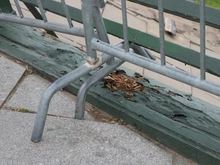 Петербург получит 15 млрд рублей на строительство Большого Смоленского моста