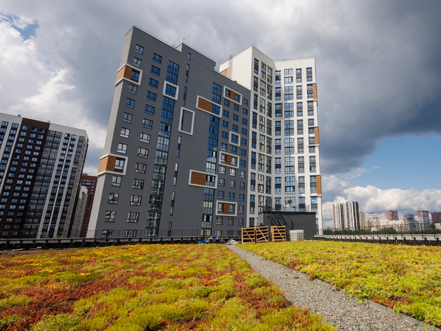 «Синара-Девелопмент» создала самую большую экокровлю на Урале

