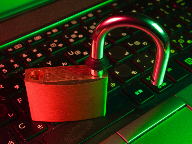 Сеть «Винлаб» восстанавливает работу после кибератаки Сеть «Винлаб» восстанавливает работу после кибератаки