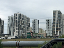 Мэр Тюмени предложил высадить крупномерные деревья вдоль объездной дороги