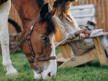 Кофе, кони, почитаем? Чем заняться в Екатеринбурге в последние выходные июля 

