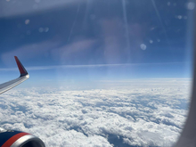 Turkish Airlines объяснила задержки багажа на рейсах из Антальи в Пулково

