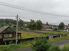 Заросли борщевика станут поводом для изъятия земельных участков