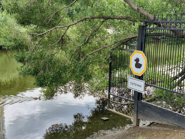 В Екатеринбурге прокуратура проверяет законность платных фотосессий в дендропарке