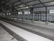 Тюменская компания вложила 72 млн рублей в новый коровник под Ялуторовском