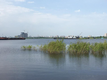 Озеро Круглое в Тюмени хотят изолировать от Туры, чтобы очистить от ила