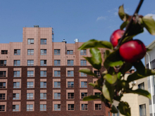 Орхидеи, цитрусовые и суккуленты: показан проект ботанического сада челябинского кампуса  