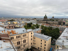 Девять петербургских проектов получат гранты Президентского фонда природы