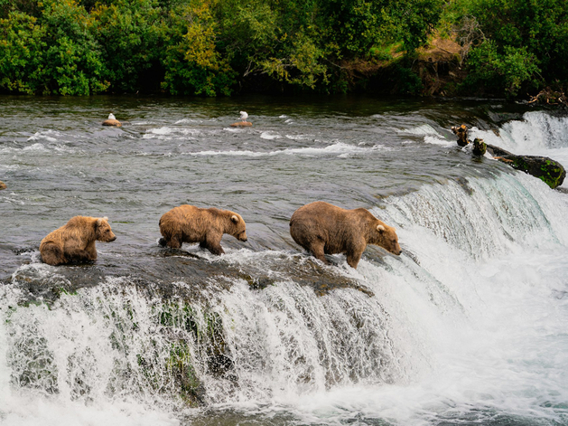 Владимир Путин и Дональд Трамп проведут седьмую личную встречу на высшем уровне