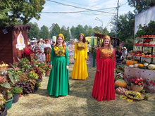 Выставка цветов, спектакли или мастер-классы. Куда пойти в Челябинске 16 и 17 августа?