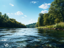 Челябинские власти требуют от экс-структуры ЮГК открыть доступ к берегу озера
