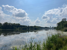 Назван источник загрязнения реки Миасс нефтепродуктами в Челябинске