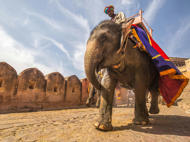 Дракон и слон договорились «танцевать вместе»: КНР и Индия противостоят пошлинам США Дракон и слон договорились «танцевать вместе»: КНР и Индия противостоят пошлинам США