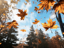 Потеплеет до +22°С. В Нижний Новгород вернется летняя погода