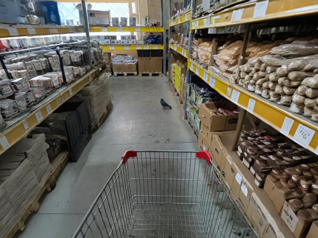 Жесткие дискаунтеры вырвались вперед по размеру выручки