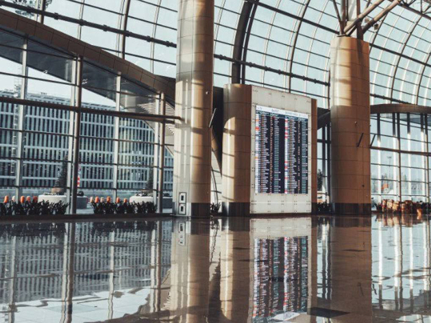 Минфин хочет «как можно быстрее» продать Домодедово частному инвестору