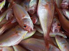 Апелляционный суд оставил без изменений решение по спорным сделкам «РОК-1»