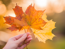 Синоптики спрогнозировали погоду на октябрь в Нижегородской области 
