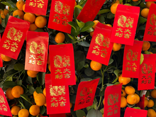 Китай ворвался в топ-3 направлений для зарубежного новогоднего отдыха россиян